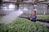 Secteur professionnel : Recherche d'Emploi